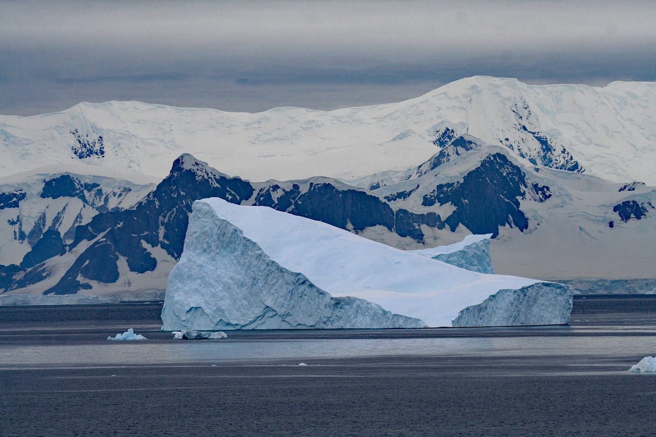 The Impact of Climate Change on Global Biodiversity